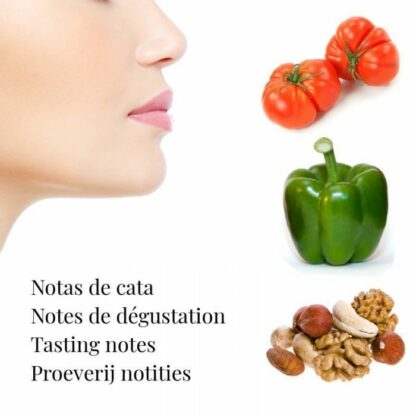 La Grama Tradición 0,75 litres – Huile d’olive vierge extra biologique – Image 2