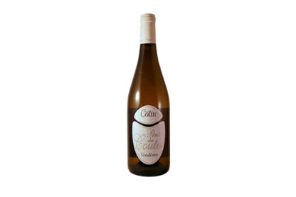Pentes des Coutis - Domaine Colin - AOC Coteaux du Vendômois