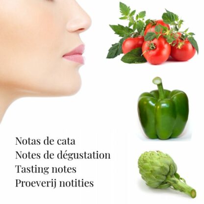 La Grama Selección 0,25 litres – Huile d’olive vierge extra biologique – Image 2